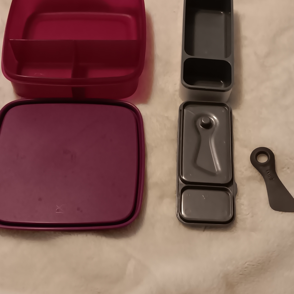 Tupperware Violet St Box